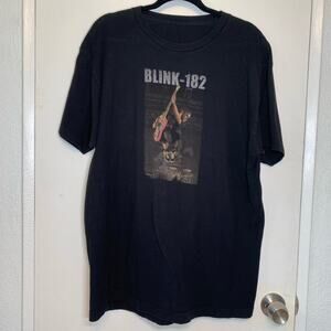 Blink 182 Concert Tee T shirt Y2k emo MTV 2001 Tom DeLonge Tour no tag well worn